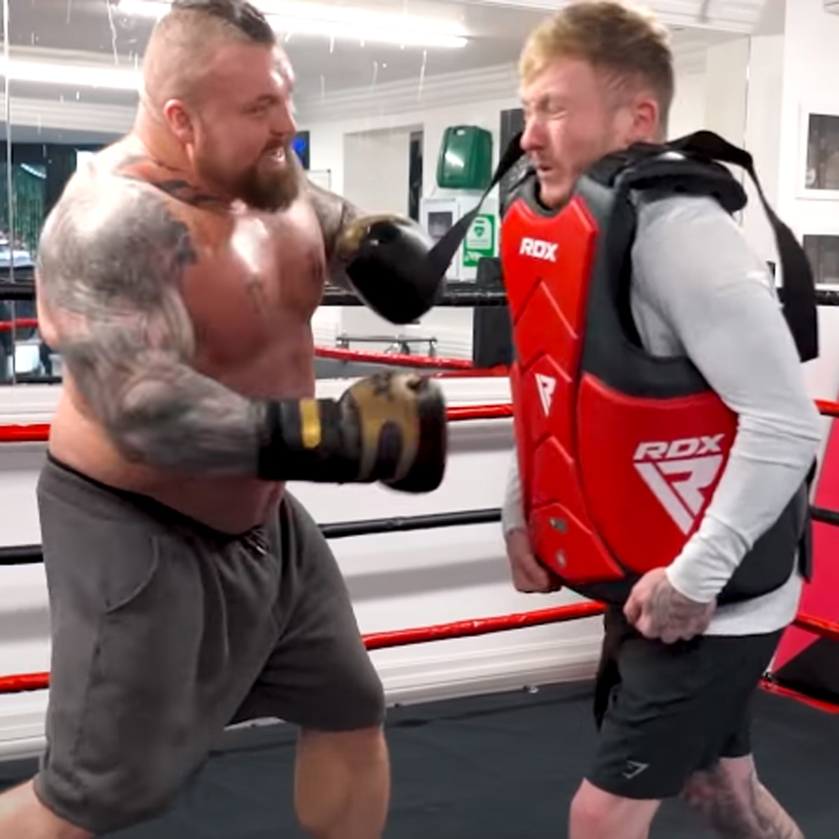 एडी हॉल और नाइल विल्सन