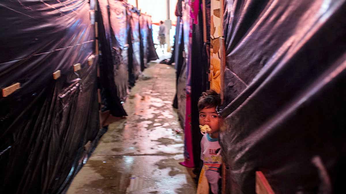 Premature Births in Brazilian Amazon