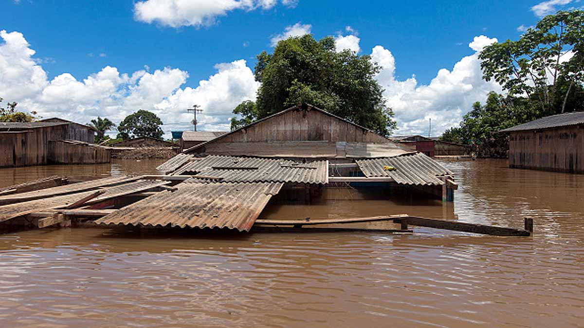 Premature Births in Brazilian Amazon
