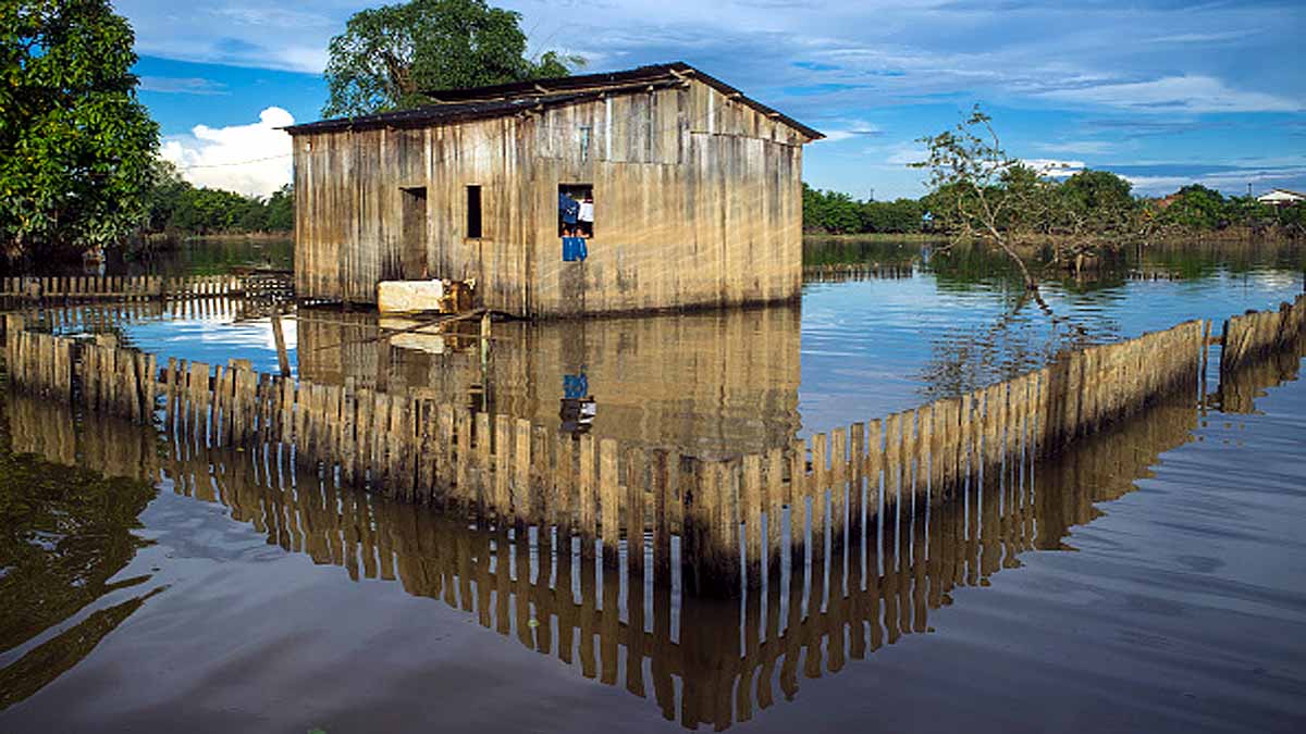 Premature Births in Brazilian Amazon