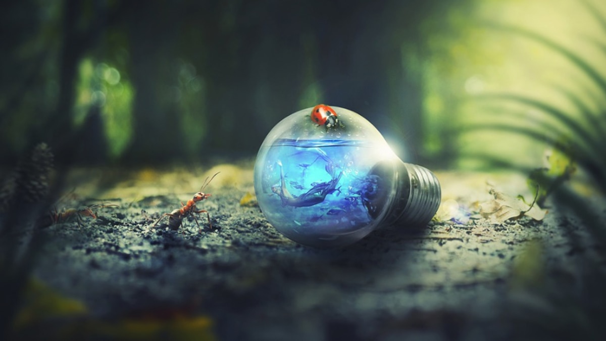 कीड़ों का दिखना