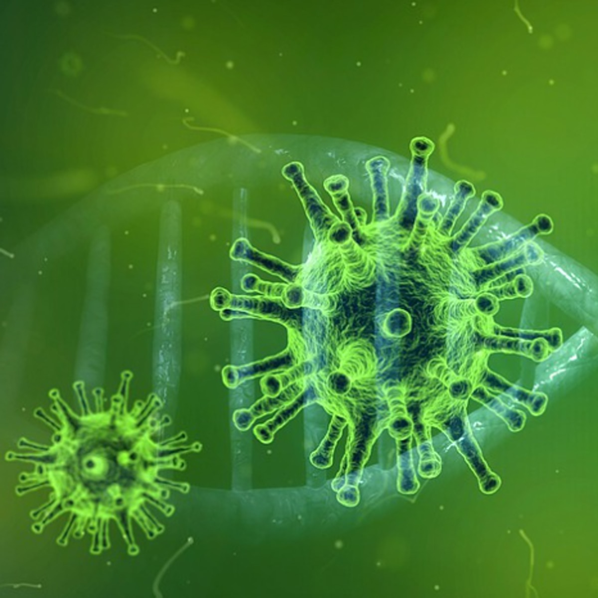 कोरोनावायरस