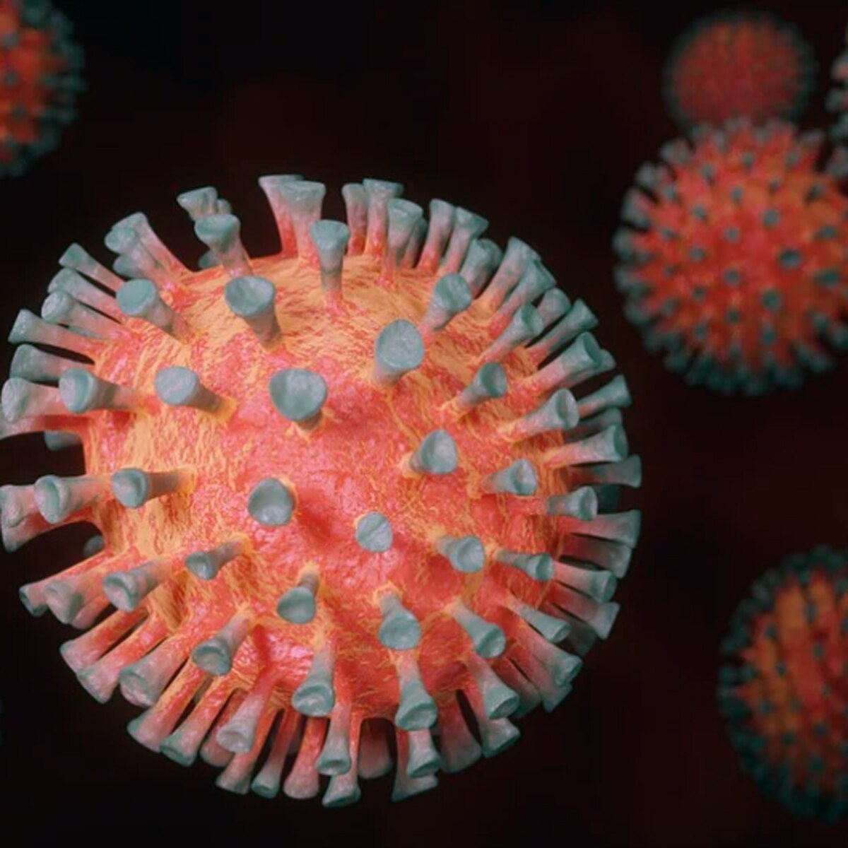 कोरोनावायरस