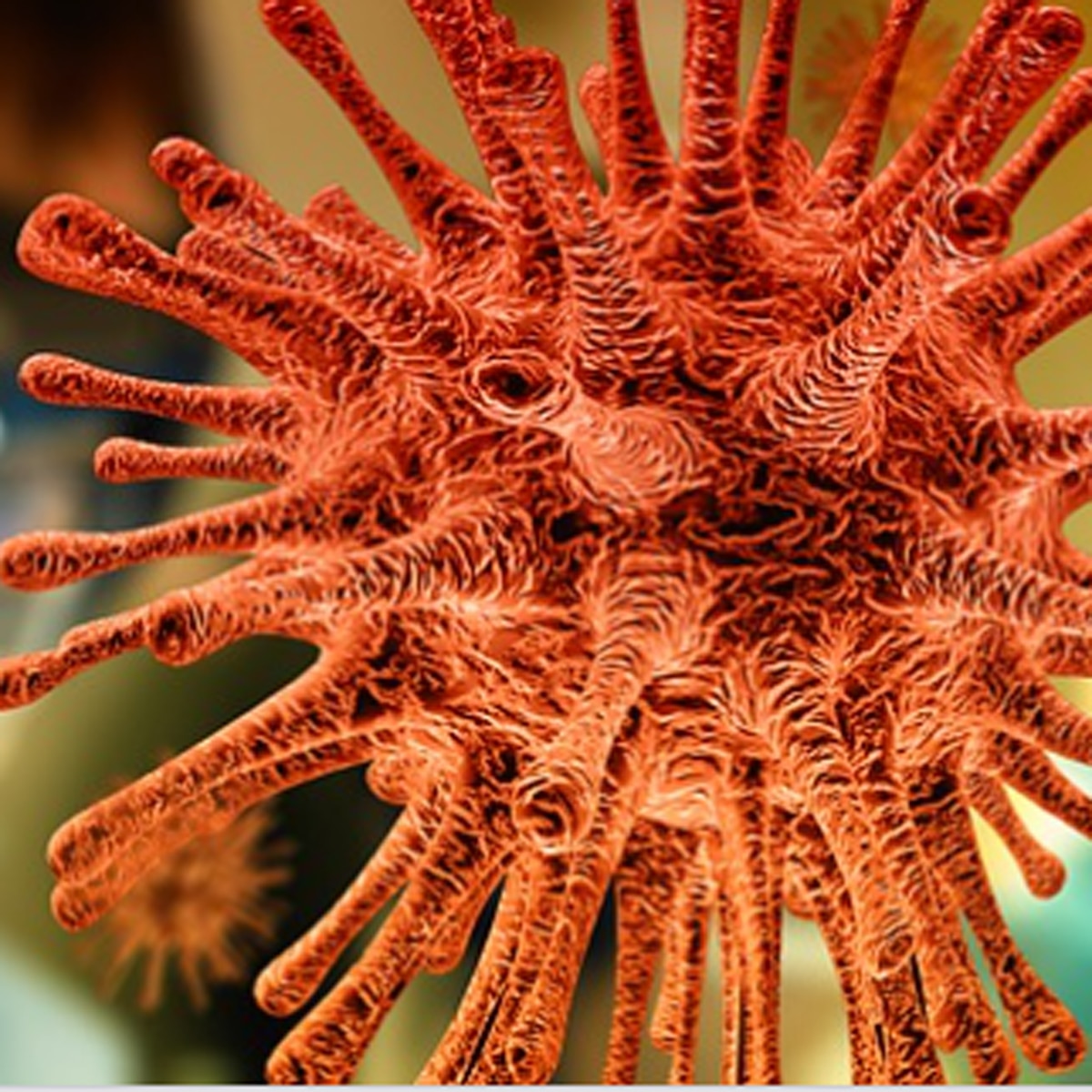 कोरोनावायरस