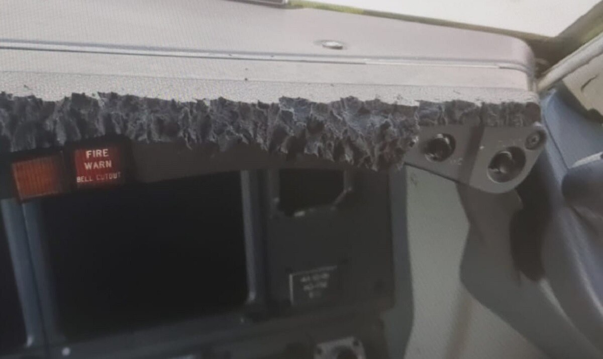 उड़ते विमान में बिल्ली ने पायलट पर किया हमला