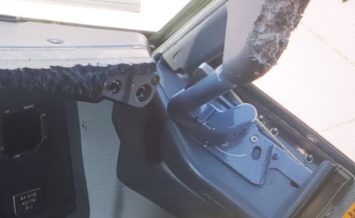 उड़ते विमान में बिल्ली ने पायलट पर किया हमला