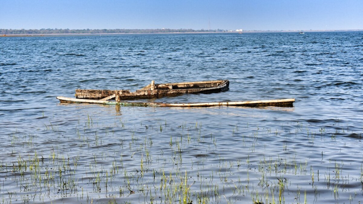 छत्तीसगढ़