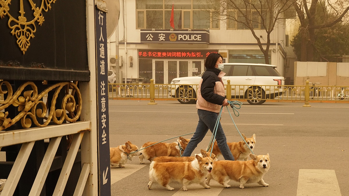 China Beijing Hit With Worst Sandstorm