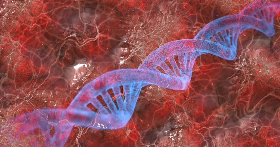 ट्राईसॉमी