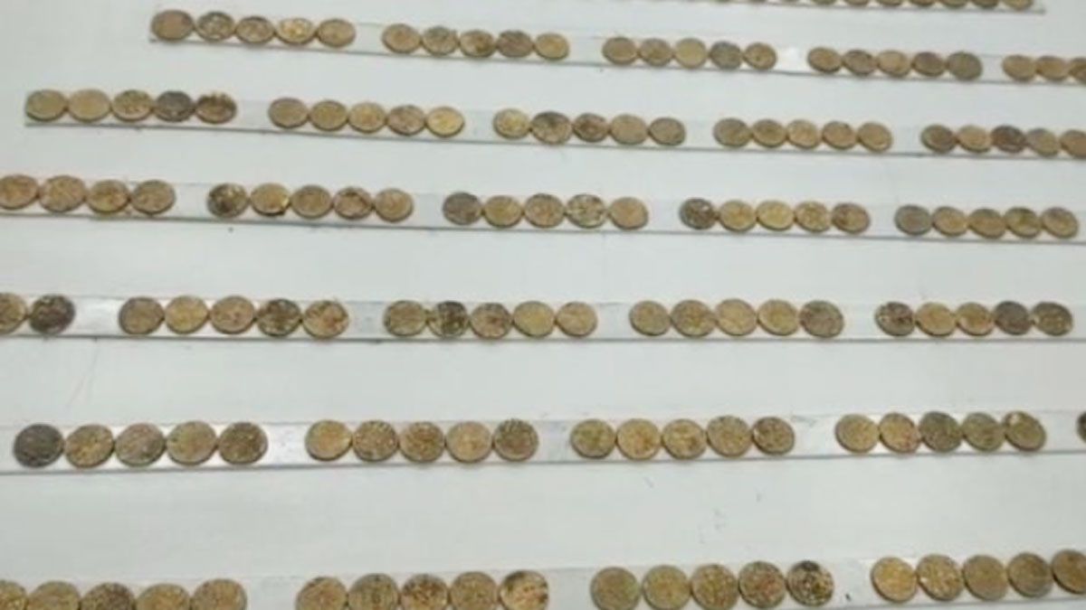 शख्स को खुदाई के दौरान मिलीं 216 सोने अशर्फियां (फोटो- समीर एस शेख)