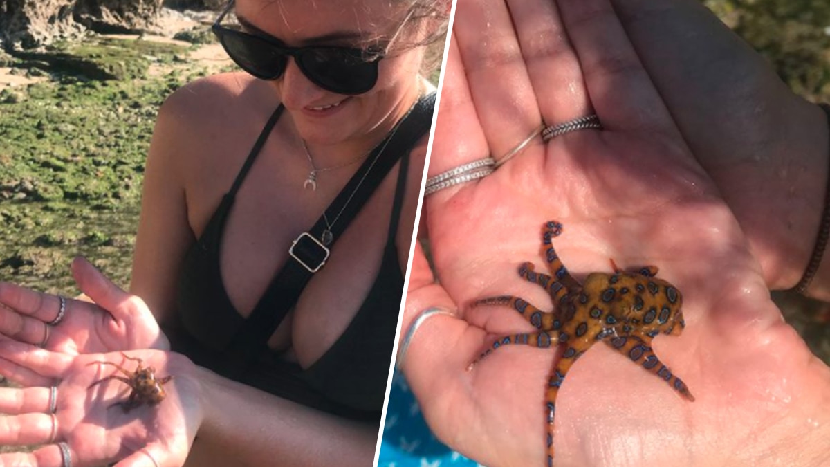 केली फिलिप्स