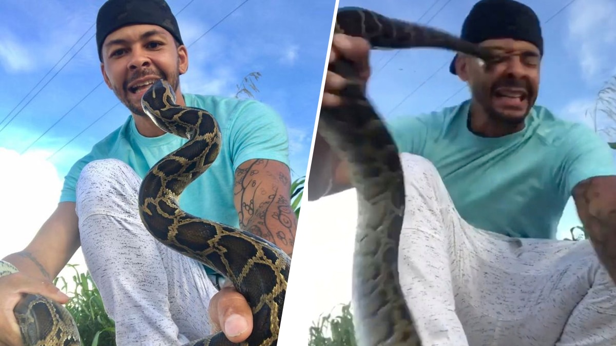 निक बिशप