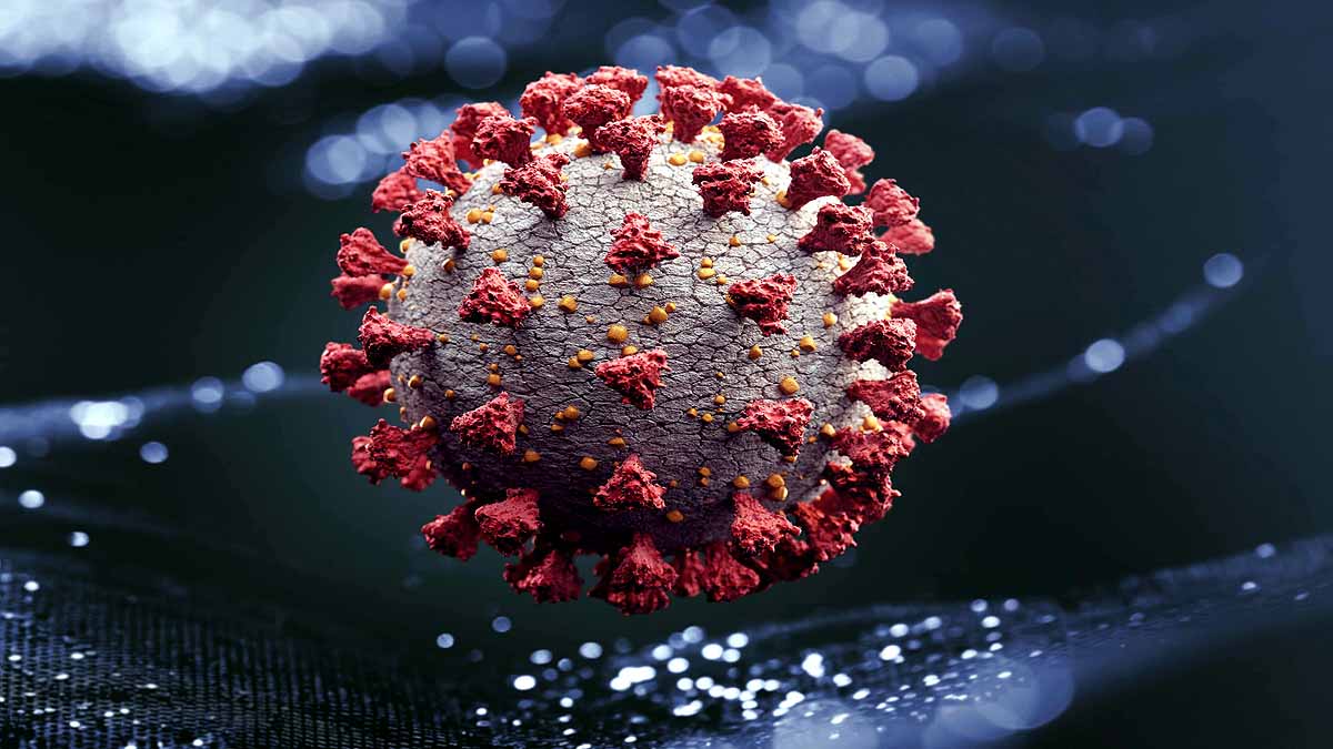 Luck is important for Successful Coronavirus 