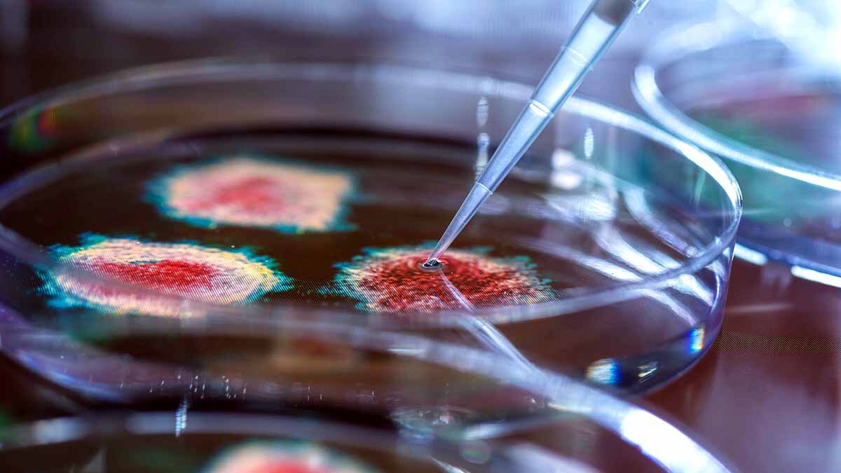 Luck is important for Successful Coronavirus 