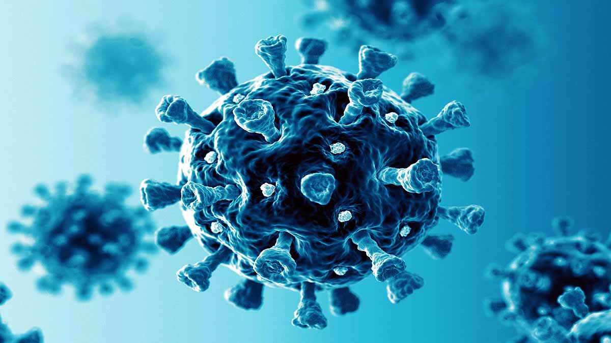 Luck is important for Successful Coronavirus 