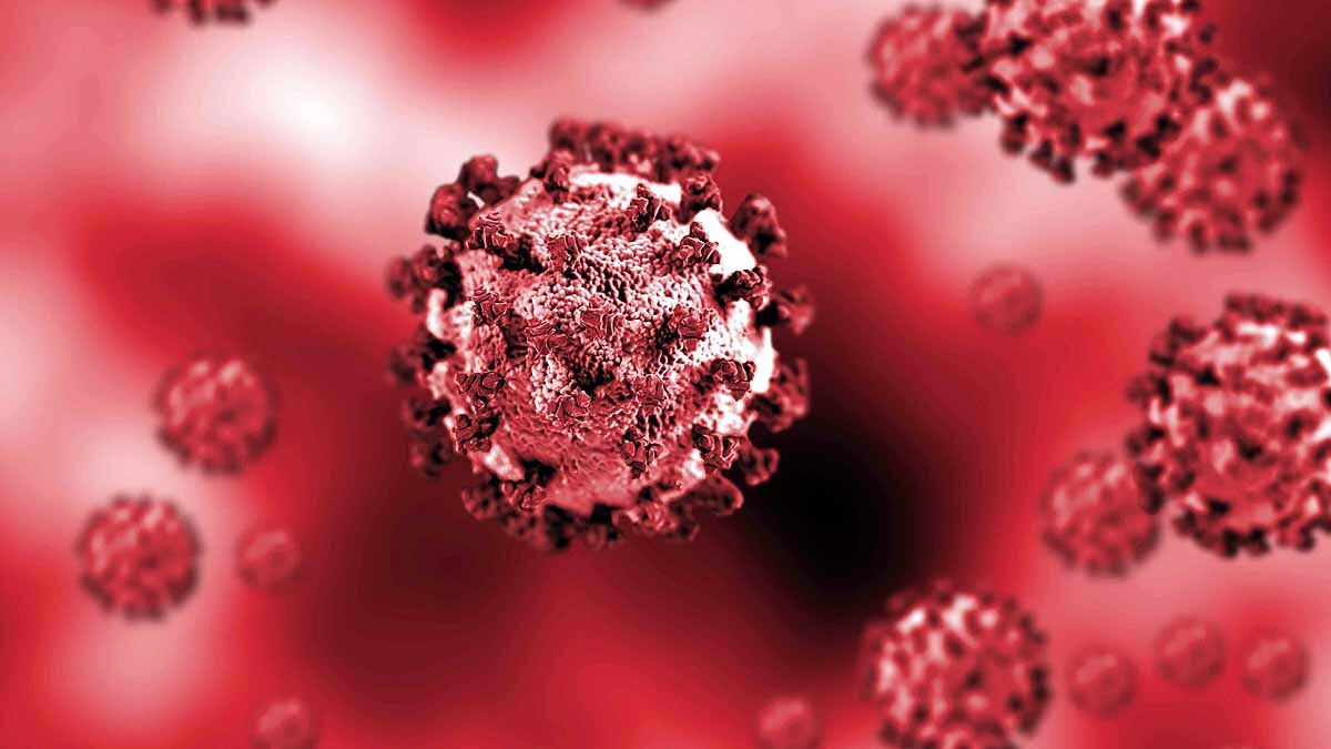 Luck is important for Successful Coronavirus 