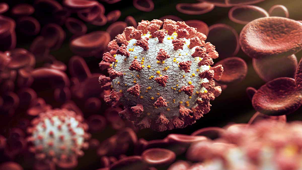 Luck is important for Successful Coronavirus 