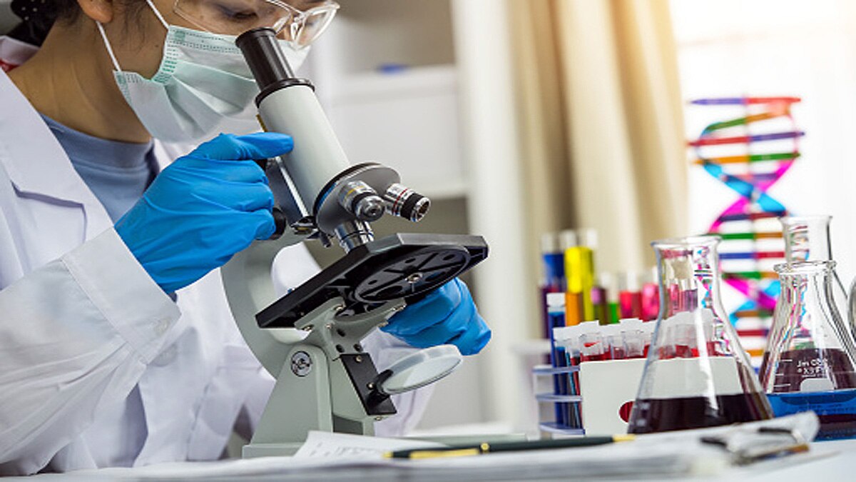 WHO Coronavirus Pandemic Origin