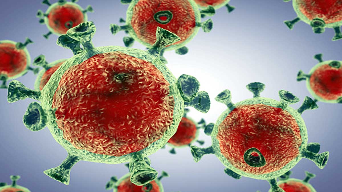 Common Cold virus Protect from Coronavirus