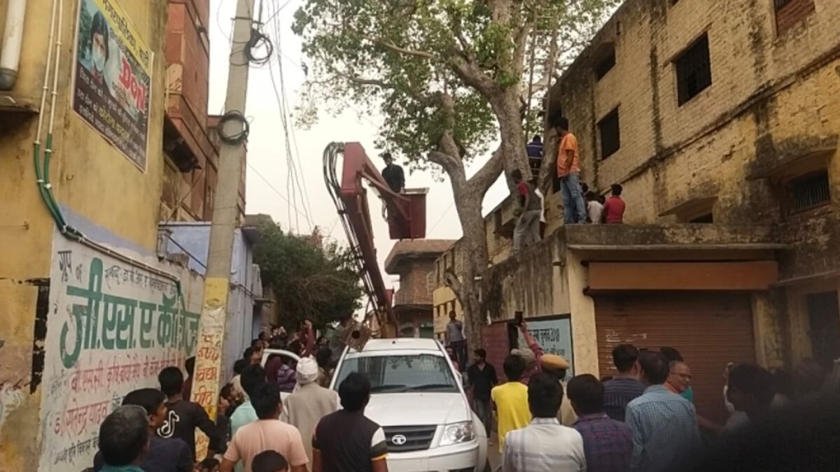 नाराज पत्नी को घर लाने के लिए 50 फीट ऊंचे पेड़ पर चढ़ा युवक