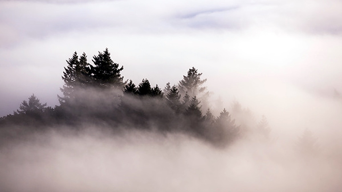 Dark Watchers California mystery unsolved