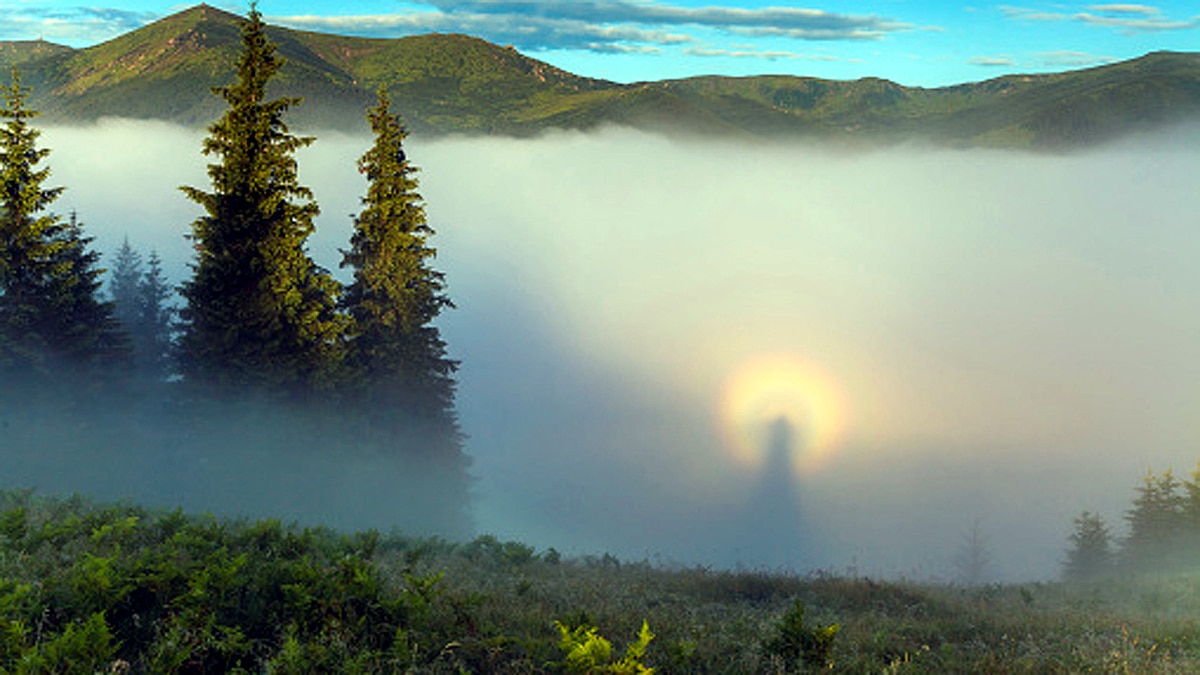 Dark Watchers California mystery unsolved