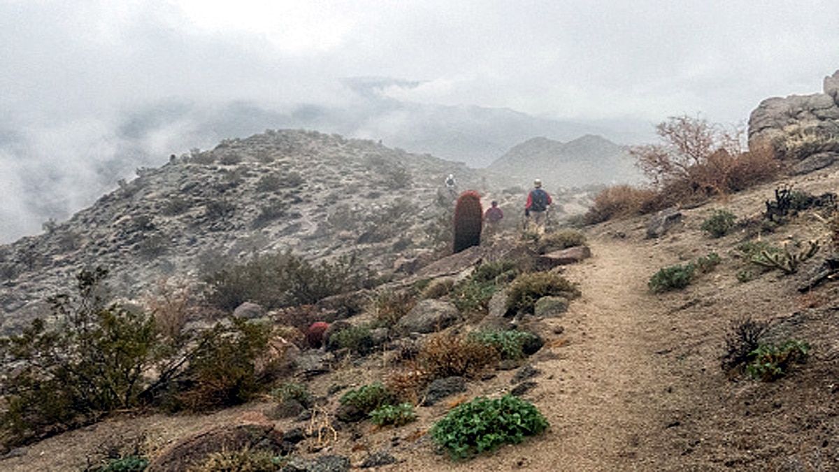 Dark Watchers California mystery unsolved