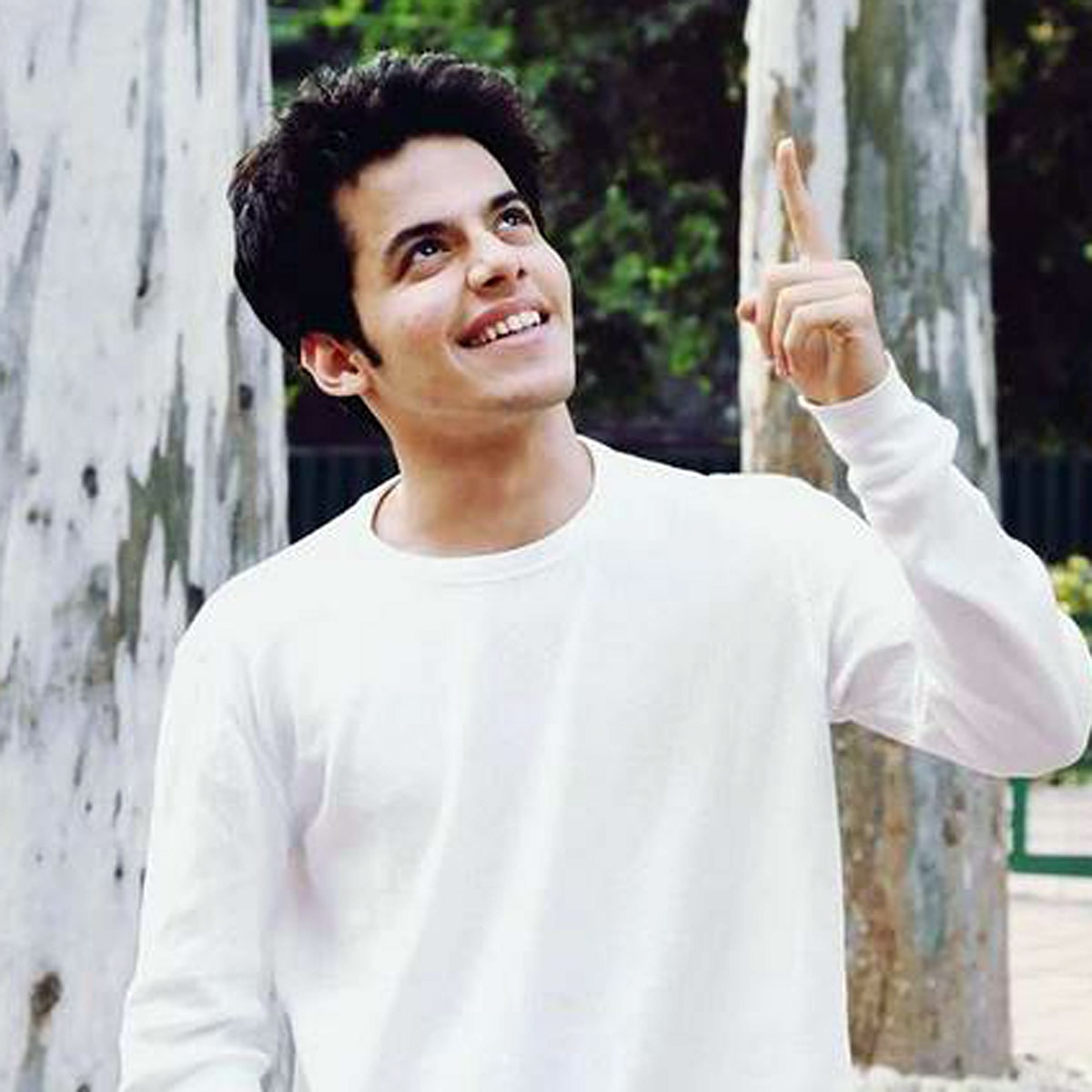 दर्शील सफारी