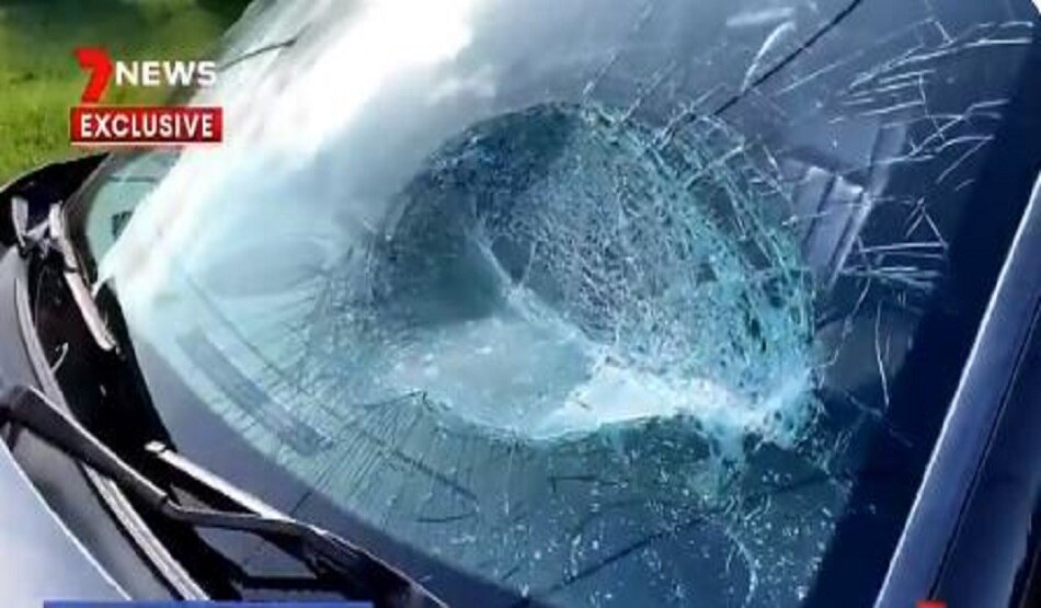 आपस में भिड़े भारतीय मूल के लोगों के दो गुट