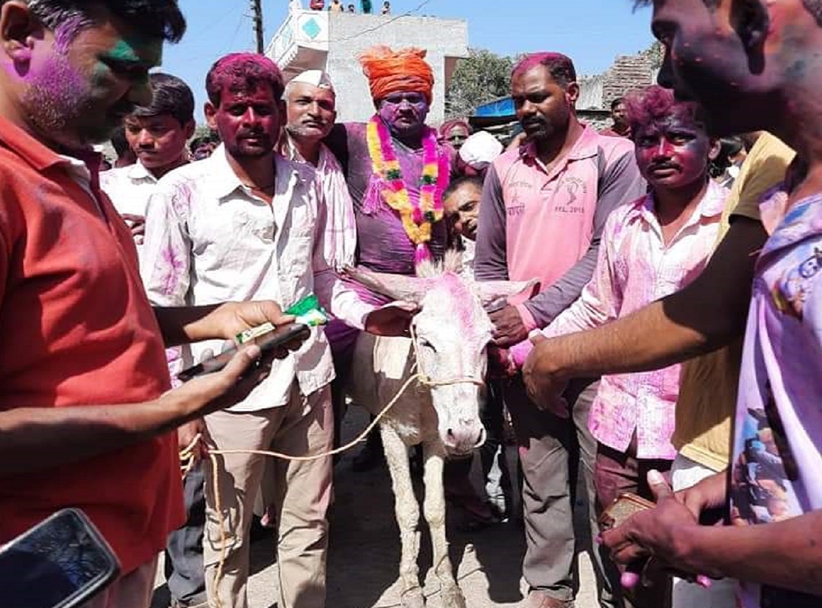 होली पर दामाद जी की गधे की सवारी
