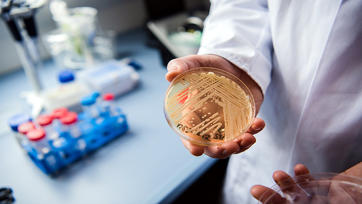 Deadly Hospital Superbug on Andaman Island