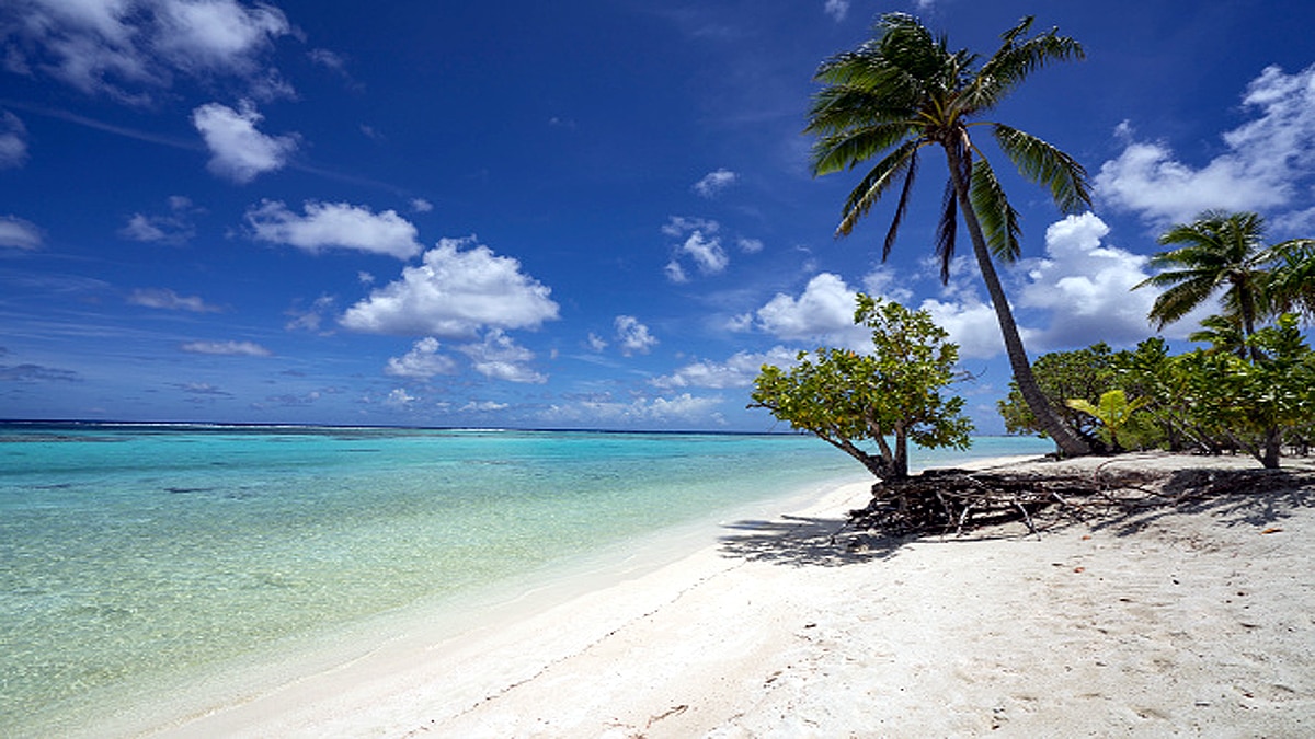 Deadly Hospital Superbug on Andaman Island