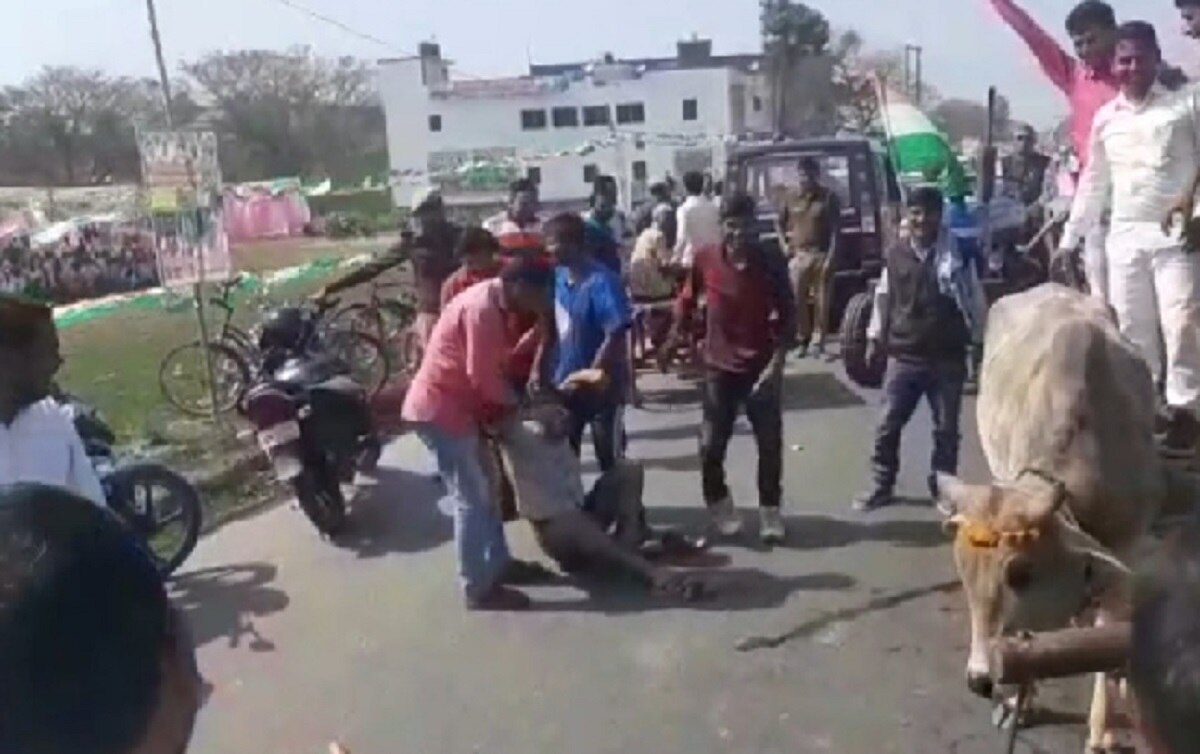 बैलगाड़ी से पहुंचे कांग्रेस नेता बैल ने मारा किक