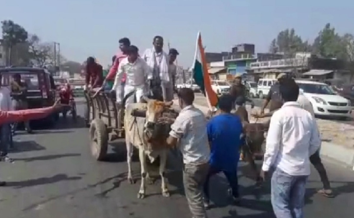 बैलगाड़ी से पहुंचे कांग्रेस नेता बैल ने मारा किक