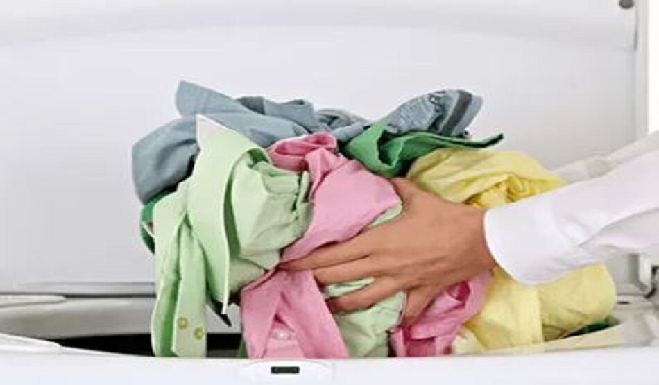 ड्रायर में छुपा बैठा था सांप