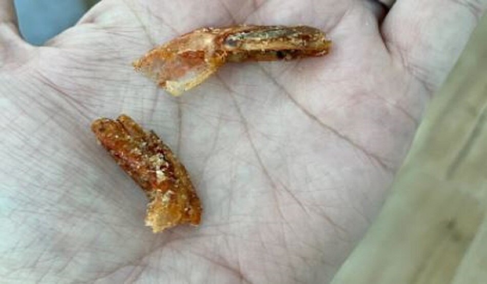 खाने के पैकेट में कीड़े की पूंछ