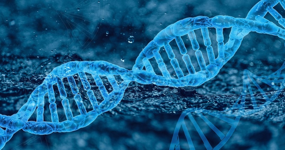 रिप्रोडक्शन (प्रजनन) के समय