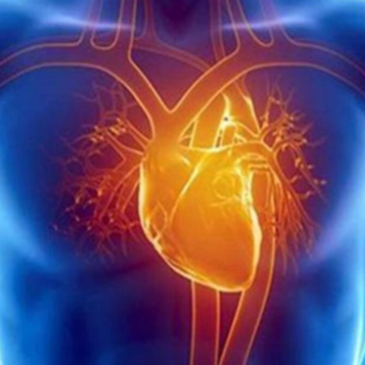 नॉन O ब्लड ग्रुप वाले लोगों में हार्ट अटैक का खतरा ज्यादा