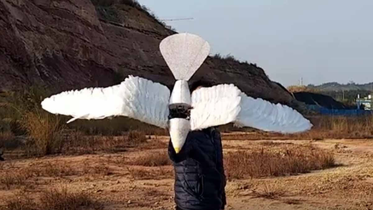 Eagle Drone Bollywood Movie Uri China 