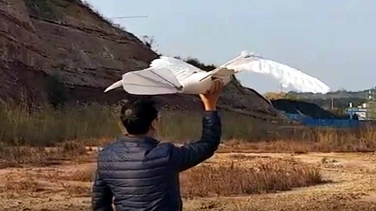 Eagle Drone Bollywood Movie Uri China 