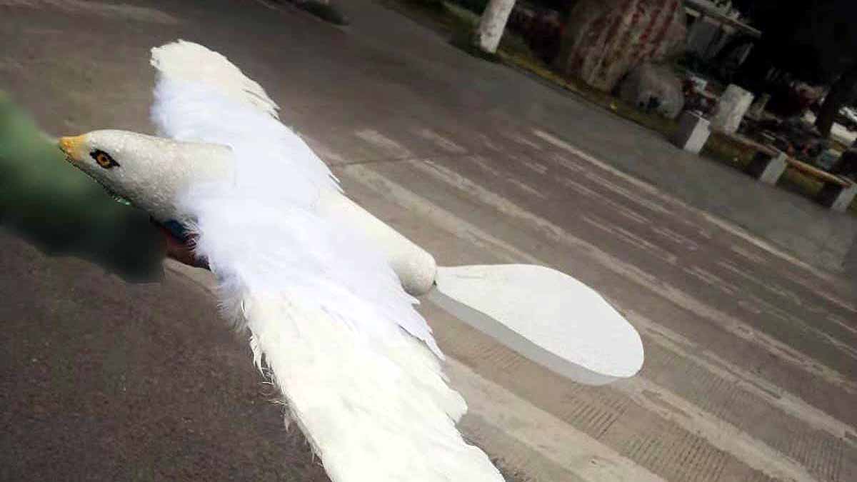 Eagle Drone Bollywood Movie Uri China 