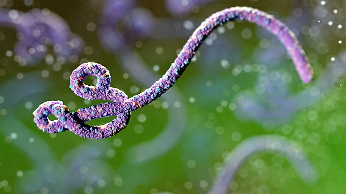 Ebola Lingered in Survivor for 5 years 