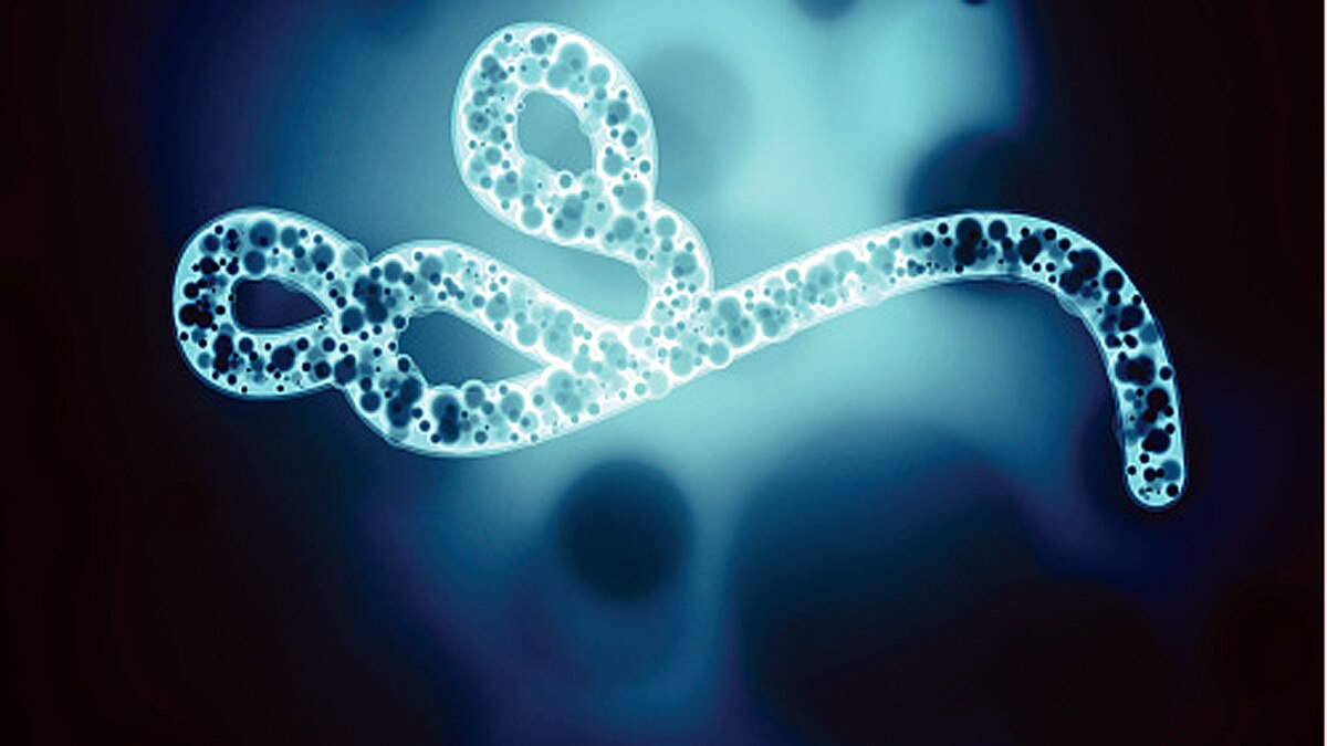 Ebola Lingered in Survivor for 5 years 