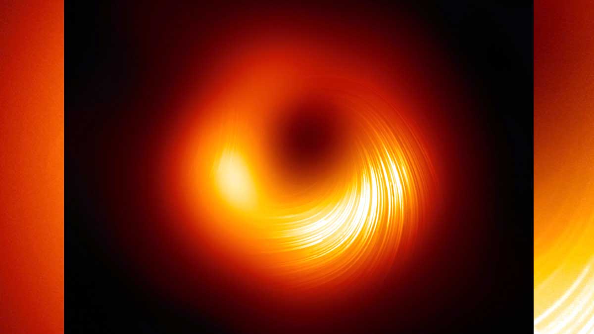 Magnetic Field of Black hole Mapped