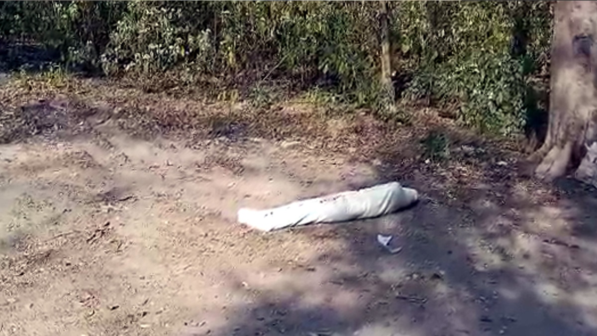 नीलकंठ जा रहे श्रद्धालुओं को हाथी ने पटक-पटक कर मार डाला, यात्रियों ने भाग कर बचाई अपनी जान