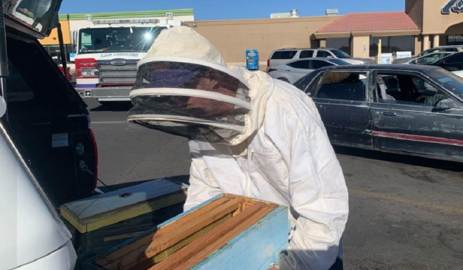 15000 मधुमक्खी