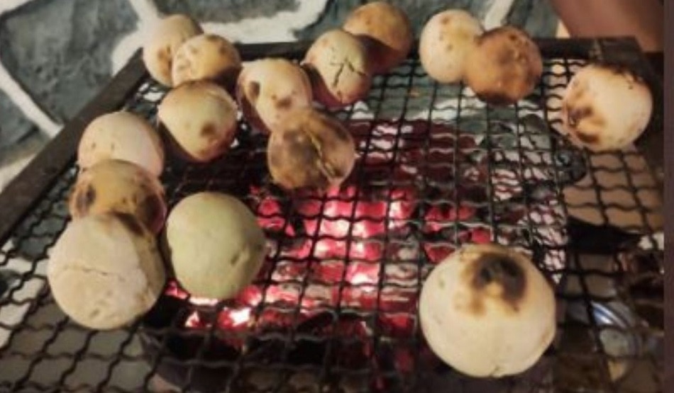 लिट्टी चोखा