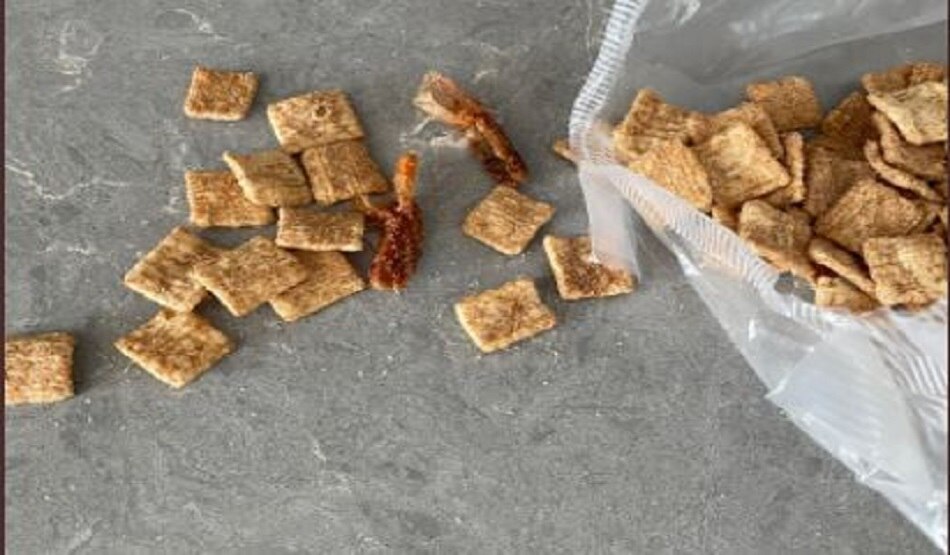 खाने के पैकेट में कीड़े की पूंछ