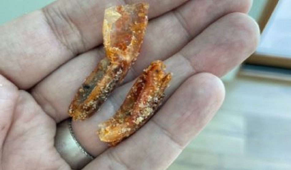 खाने के पैकेट में कीड़े की पूंछ