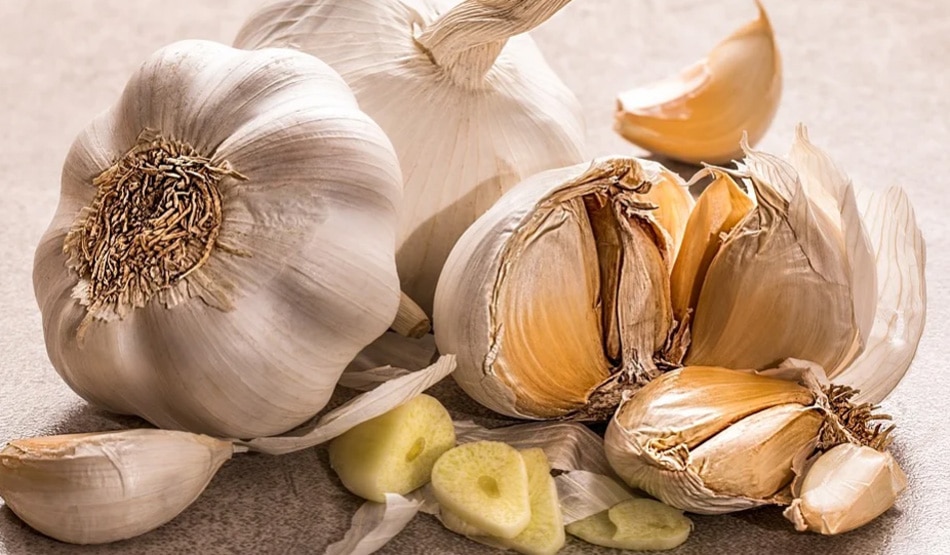 मच्छरों को नियंत्रित करने के लिए लहसुन का स्प्रे करें
